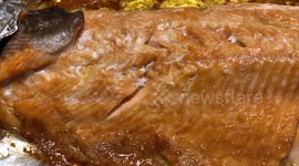 Salmon fish fillet in the oven