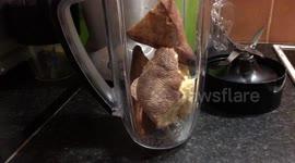 Nutribullet