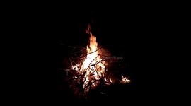 Midnight Noiseless Campfire in Kuakata Sea Beach Enjoying Fireplace by The Beach