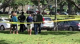 Giant tree falls in Waikiki during storm