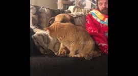 Friends