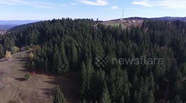 flying over forest