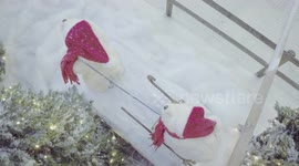 snow Christmas decoration