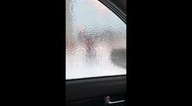 Toronto ice storm - February 2019