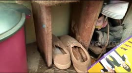 Watch your step! Man finds 5-foot-long snake hiding in his shoe