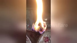 Bizarre video shows burning log that looks just like a dog