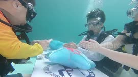 Couples in Thailand have special underwater wedding ceremony