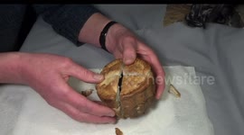 Pork pie Rubik's Cube solved - and then eaten