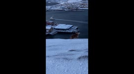 Dog sliding on the edge