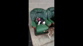 When you just can’t stay awake