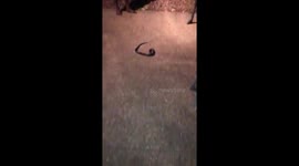 Uncle almost dead yes