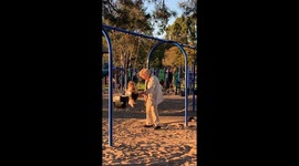 Woman pushing dog on a swing