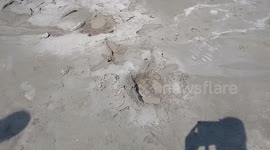 Mud Volcanoes from the Little Pickles