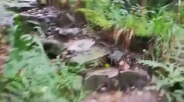 Hiking tour in the Drakensberg mountains with Tim Brown Tours