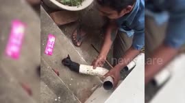 Indian man rescues kitten trapped in washing machine pipe
