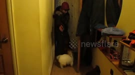 Dog is excited to see owner