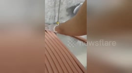 Vietnamese woman on a roll as she makes sausages incredibly fast