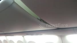Passengers terrified as live SCORPION crawls out of luggage compartment on plane