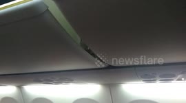 Passengers terrified as live SCORPION crawls out of luggage compartment on plane
