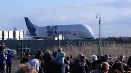 A whale in the sky! Crowd watches as Airbus Beluga XL departs North Wales
