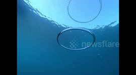 Mesmerising footage of bubble rings colliding in slow motion