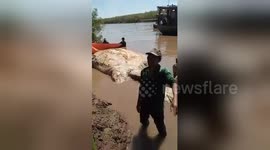Vietnamese fishermen drag 10-metre-long whale carcass inland for worshipping 'god of sea'