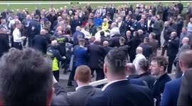 Shocking scenes as racegoers trade blows in mass brawl at Haydock Park