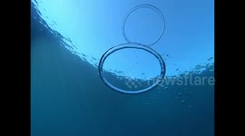 Mesmerising footage of bubble rings colliding in slow motion