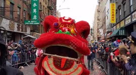 NYC: Lunar New Year revelers dance in dragon costumes