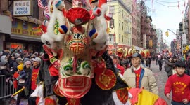 NYC: Lunar New Year revellers parade with dragon costumes