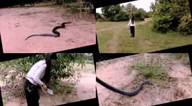Snake Catcher