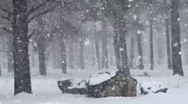 Extremely heavy snowfall rates in Flagstaff, Arizona.