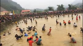 Daring festival-goers catch fish by hand in Vietnam