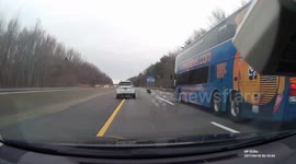 Traffic dodges bald eagles fighting on US highway