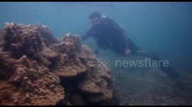 Expert divers work to clear plastic from oceans around south India