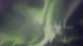Cuckoo Fiddler Gone Crazy Under Neon Aurora Iceland