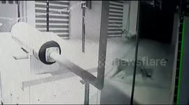 Leopard scare at Indian airport ends after 48 hour hunt