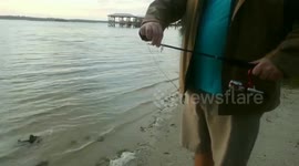 Very surprising catch of the day!!