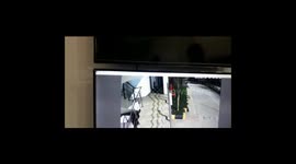 Leopard Rescued from mall near Mumbai