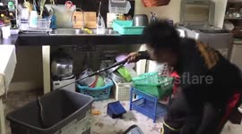 Woman terrified after finding 8ft cobra in kitchen