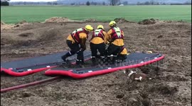 UK senior citizen saved after sinking up to his neck in manure