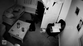 Dog VS dog proof bin