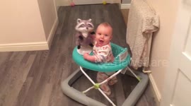 Toddler takes cuddly toy for a drive