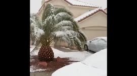Surprise snow strikes Las Vegas for first time in years