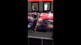 Hooligan cat attacks Liverpool match on TV
