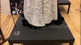 Exclusive Exhibition - The Favourite - Olivia Coleman Costume