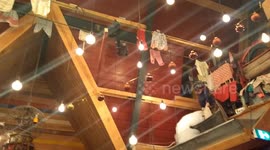 Hans & Gretel pancake house, it's perfect restaurant to take your kids to when you visit the Netherlands