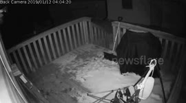 Orbs, Orbs And More Orbs! Man They Burn Through Saved Security Footage!