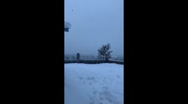 Birds freak out during the great snowpacalypse of Arizona, 2019