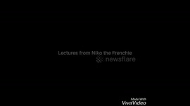 Lecture from Niko the Frenchie!